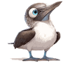 Blue-footed booby