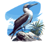 Blue-footed booby