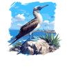 Blue-footed booby
