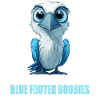 Blue-footed booby
