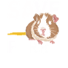 Guinea pig