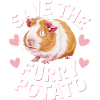 Guinea pig