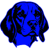 Beagle Dog Animal Portrait