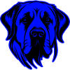 Kangal Dog Animal Portrait