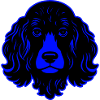 Poodle Dog Animal Portrait