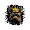 Yorkshire Animal Dog