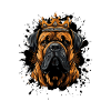 hund boxer