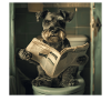 Zwergschnauzer