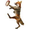 Fuchs