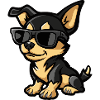 Chihuahua Dogs Comic Cool
