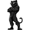 Panther Comic Cool