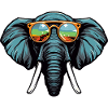 Portrait Tête D’éléphant Cool