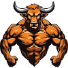Bull Bull Beast Fitness