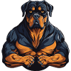 Dog Muscles Fitness