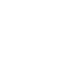 Bus Driver