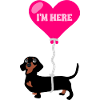 Helium Sausage Dog