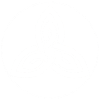 Fleur celte blanche