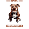 Pitbull Terrier Dog Owner