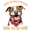 Pitbull Terrier Dog Owner