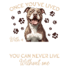 Pitbull Terrier Dog Owner