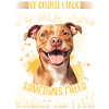 Pitbull Terrier Dog Owner