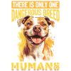 Pitbull Terrier Dog Owner