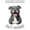 Pitbull Terrier Dog Owner