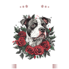 Pitbull Terrier Dog Owner