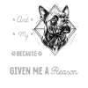 Pitbull Terrier Dog Owner