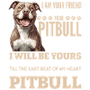 Pitbull Terrier Dog Owner