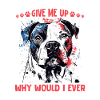 Pitbull Terrier Dog Owner