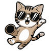 Party Cat Superhero Cat