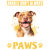 Pitbull Terrier Dog Owner