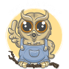 Owl are you ?