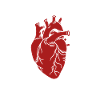 Feel the Rhythm – Fahrrad Herz Design