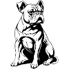Bouledogue