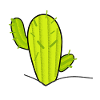 Cactus