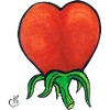 Corazon