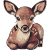Roe deer