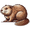 Beaver