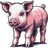 Piglet