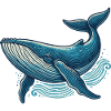 Baleine bleue