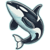 Killer whale