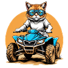 Cat Quad Cat Regalo Supermoto Moto