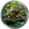 Iguana Animal - 2