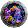 Seahorse Animal - 4