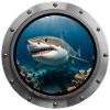 Shark Animal - 3
