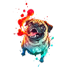 Crazy Anime Pug