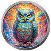 Owl Animal -4