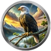 Eagle Animal - 5